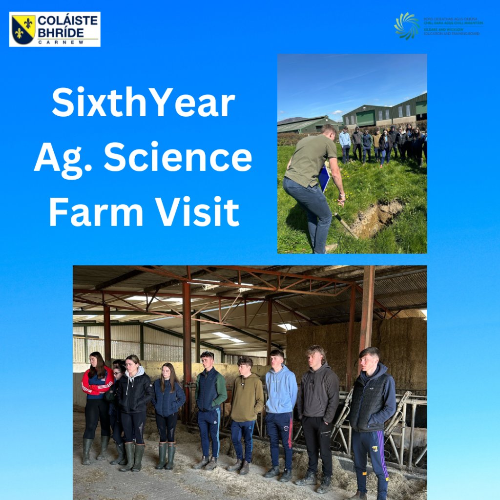 The sixth year Ag Science students travelled to Michael Martins farm in Rathnure, Co Wexford. The farm consisted of a beef and tillage enterprise. The topics discussed were ruminant digestion, dairy calf to beef rearing and suckler beef systems and grassland management. @KWETB,