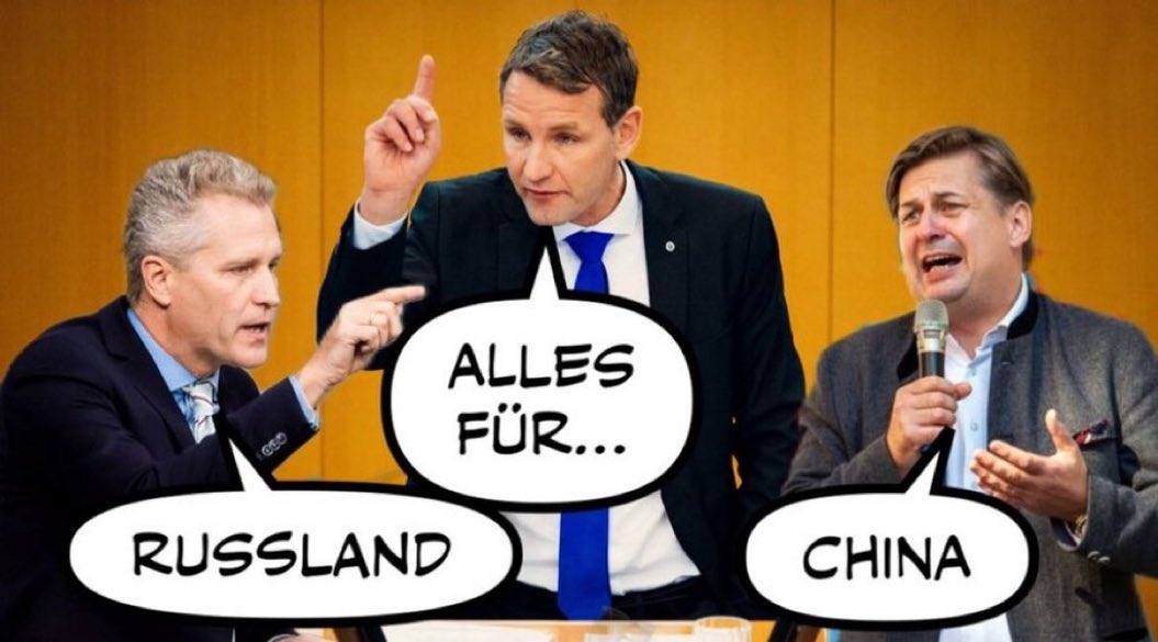 AfD in a nutshell