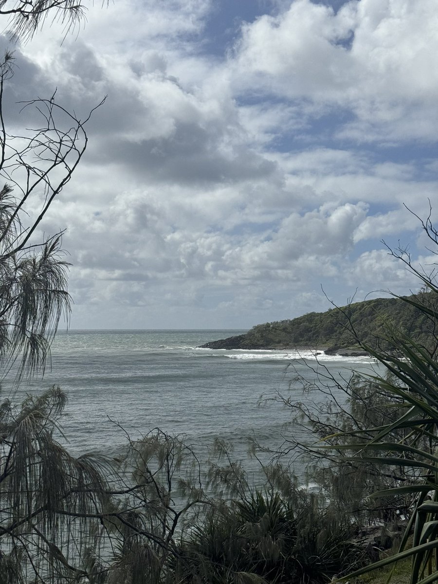 Noosa National Park

#noosa #visitnoosa #hike #hiking #bushwalk #mountains #nature #explore #wilderness #adventure #outdoors #shotoniphone