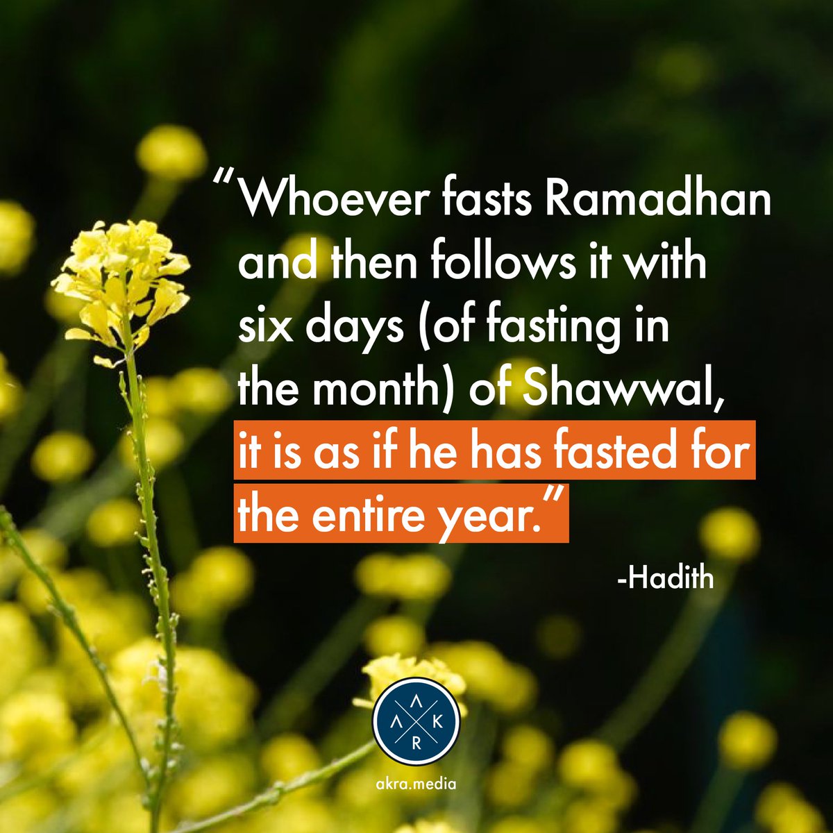“Whoever fasts Ramadhan and then follows it with six days (of fasting in the month) of Shawwal, it is as if he has fasted for the entire year.”
-Hadith

#hadith #fasting #monthofshawwal #shawwal #ramadhan #habits #muslimlifestyle #i̇slam #faith #gooddeeds