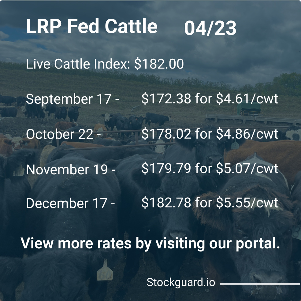 Stockguardinfo's tweet photo. Wednesday, April 23rd LRP Rates: Stay current on today's live and feeder cattle rates–don't fall behind on the market! View live rates: https://t.co/b12aGFUGZp

#LivestockRiskManagement #RiskManagementTools #LivestockSafety #FarmersProtection #LivestockInsurance https://t.co/nB0l8rPjan