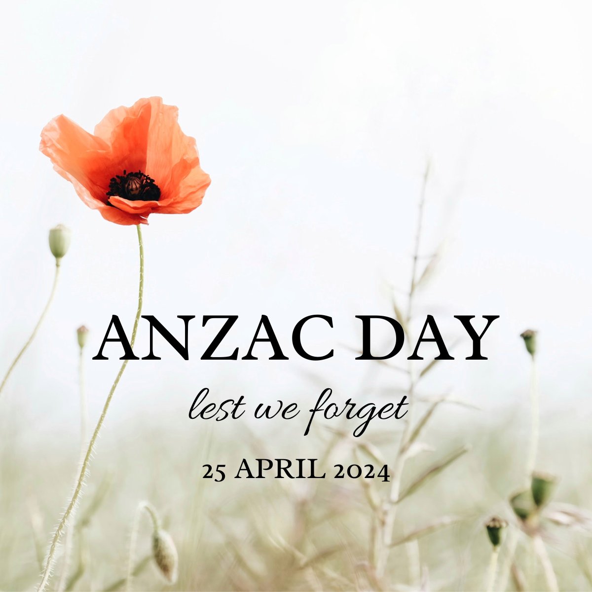 On this Anzac Day, across Aotearoa NZ and Australia, we pay tribute to past and current service personnel who have served, acknowledging their dedication and sacrifice. Lest we forget.