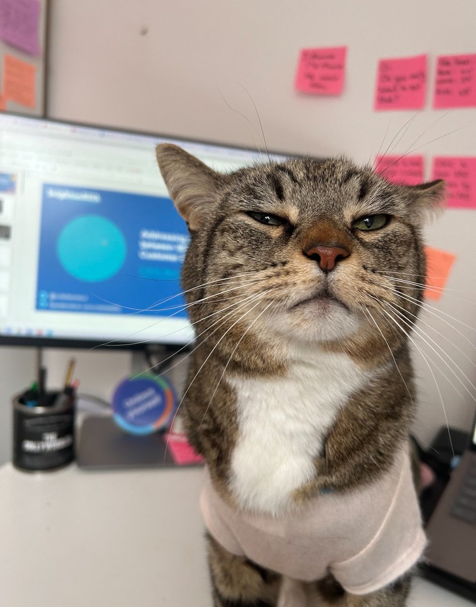 colletteontour's tweet photo. #brightonSEO deck run through &amp; final tweaks done. Audience kind of engaged as you can see.

See you all on Thursday in Auditorium 2 at 4.50pm 🙌🏼 https://t.co/GYrF05cD7W