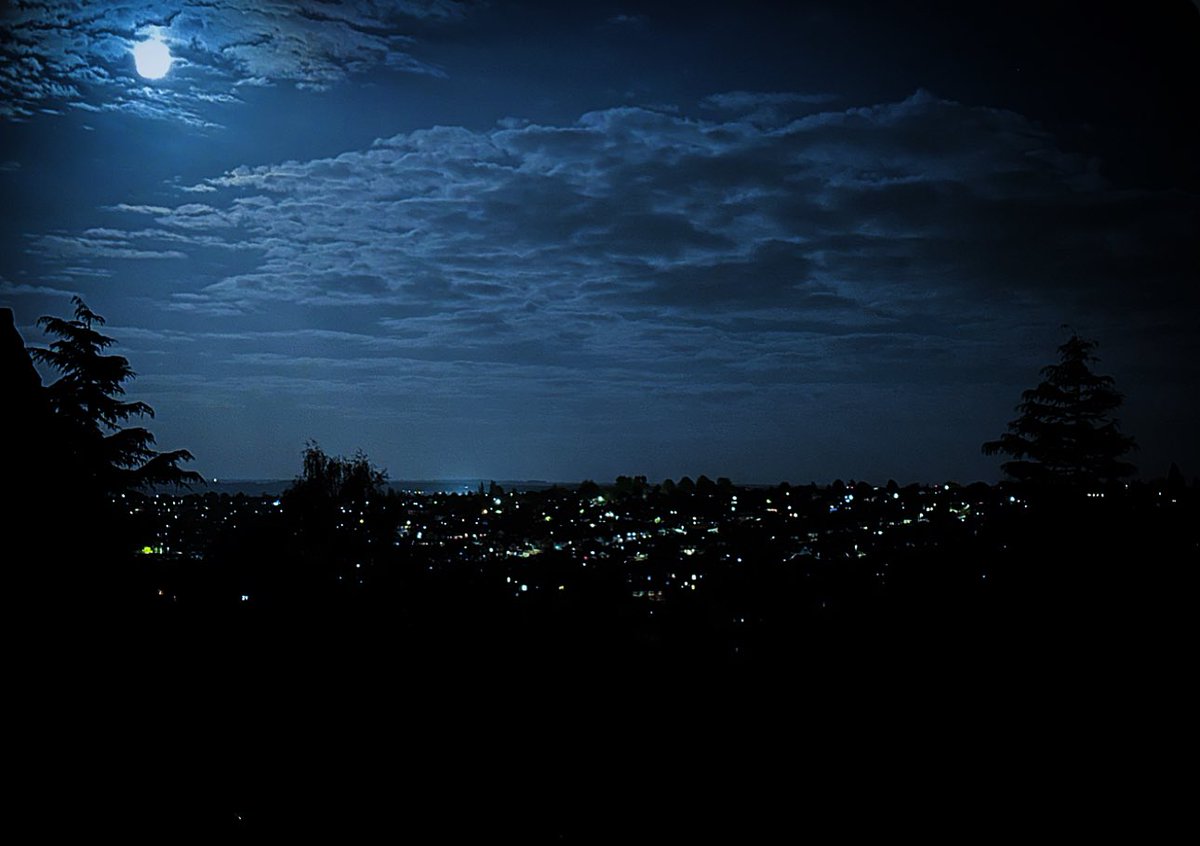 TonyJoynes3's tweet photo. Beneath the brightness of the night 
#Mapperley #Nottingham @BBCWthrWatchers https://t.co/YOswTs0Ndy