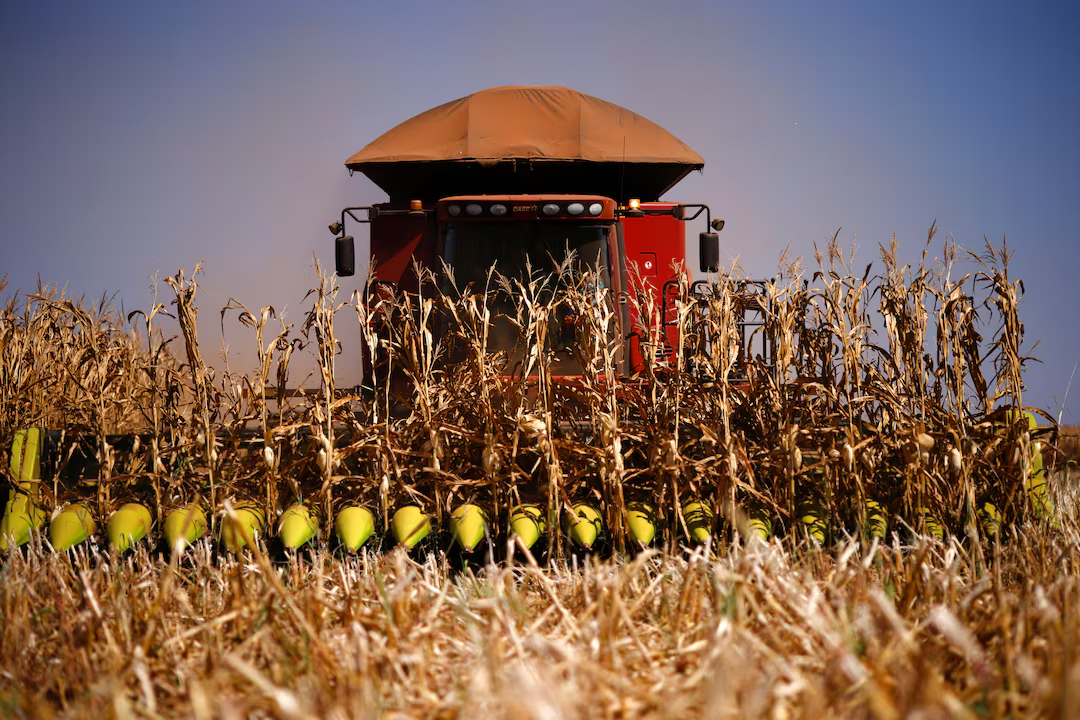 In @Reuters, Thales de Paula @wef, shares the importance of sustainable agricultural practices in the Cerrado biome. Read the feature here: reuters.com/sustainability… @revents_sustbiz @tslavinm @karenluckhurst #Cerrado #Brazil #Agriculture #SustainableDevelopment