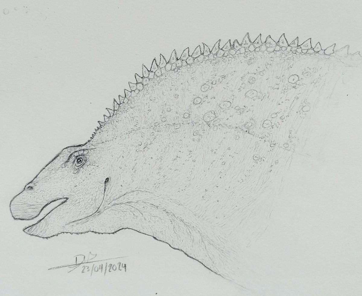 Amargasaurus cazaui

#paleoart #paleo