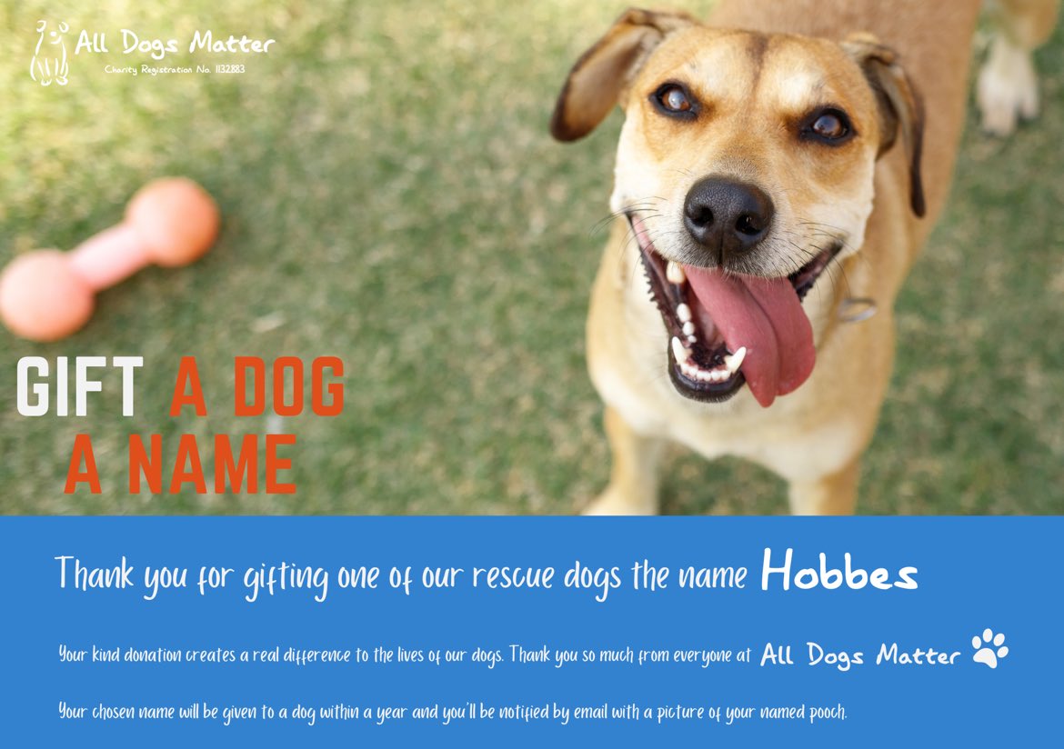 Day 44 of 100! We have just named our 44th rescue dog “HOBBES”. After #Memecoin $HOBBES @Hobbes_ETH 56 More Rescue Dogs to Go! 🐶 #Charity @AllDogsMatter #100dogmission #ForAda #TolysDog $ADA #MemeCoinSeason #meme #memecoin #Defi *PLEASE NOTE THIS IS A CERTIFICATE. TO SEE THE…