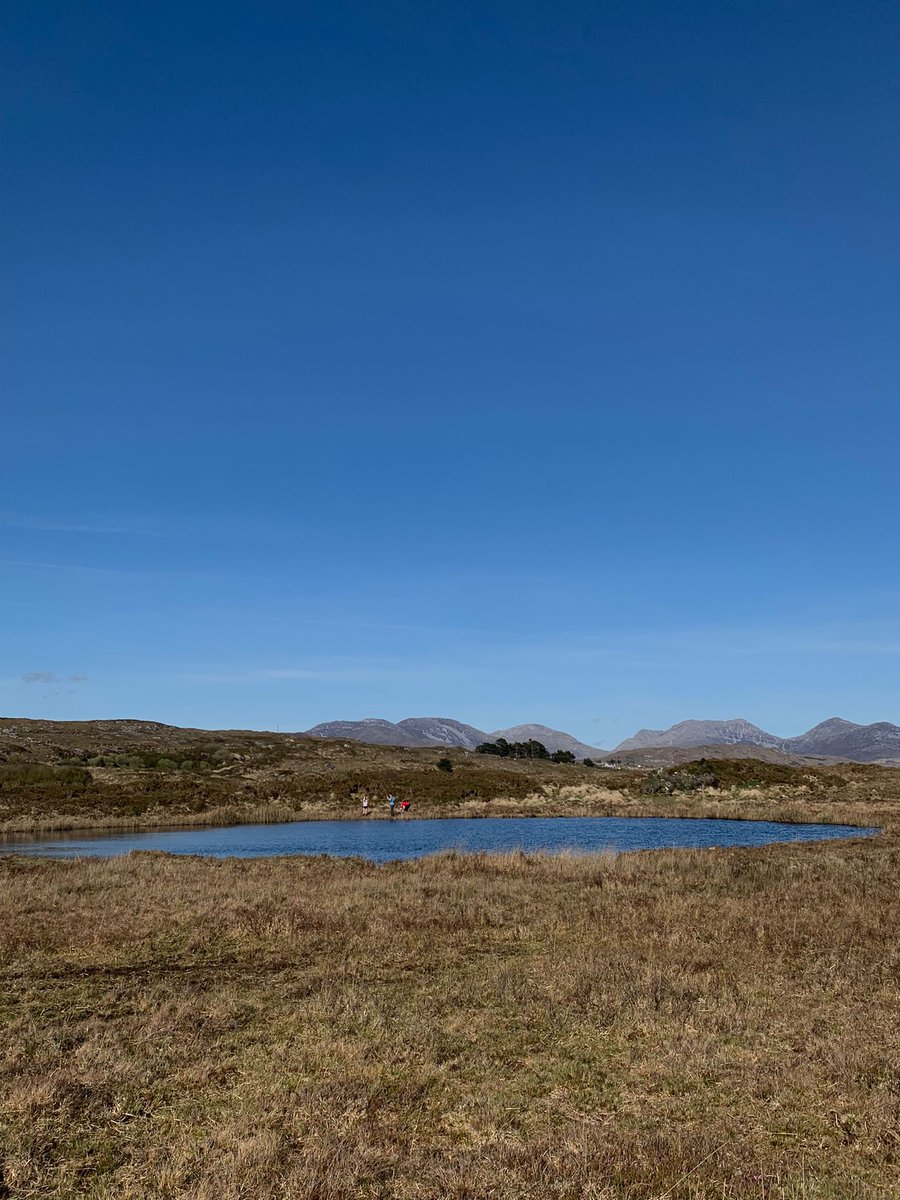 Timed to perfection, several days measuring peat depths with @WAN_LIFEIP in Connemara to underpin #peatland rest plans - glorious ☀️ in an amazing area.