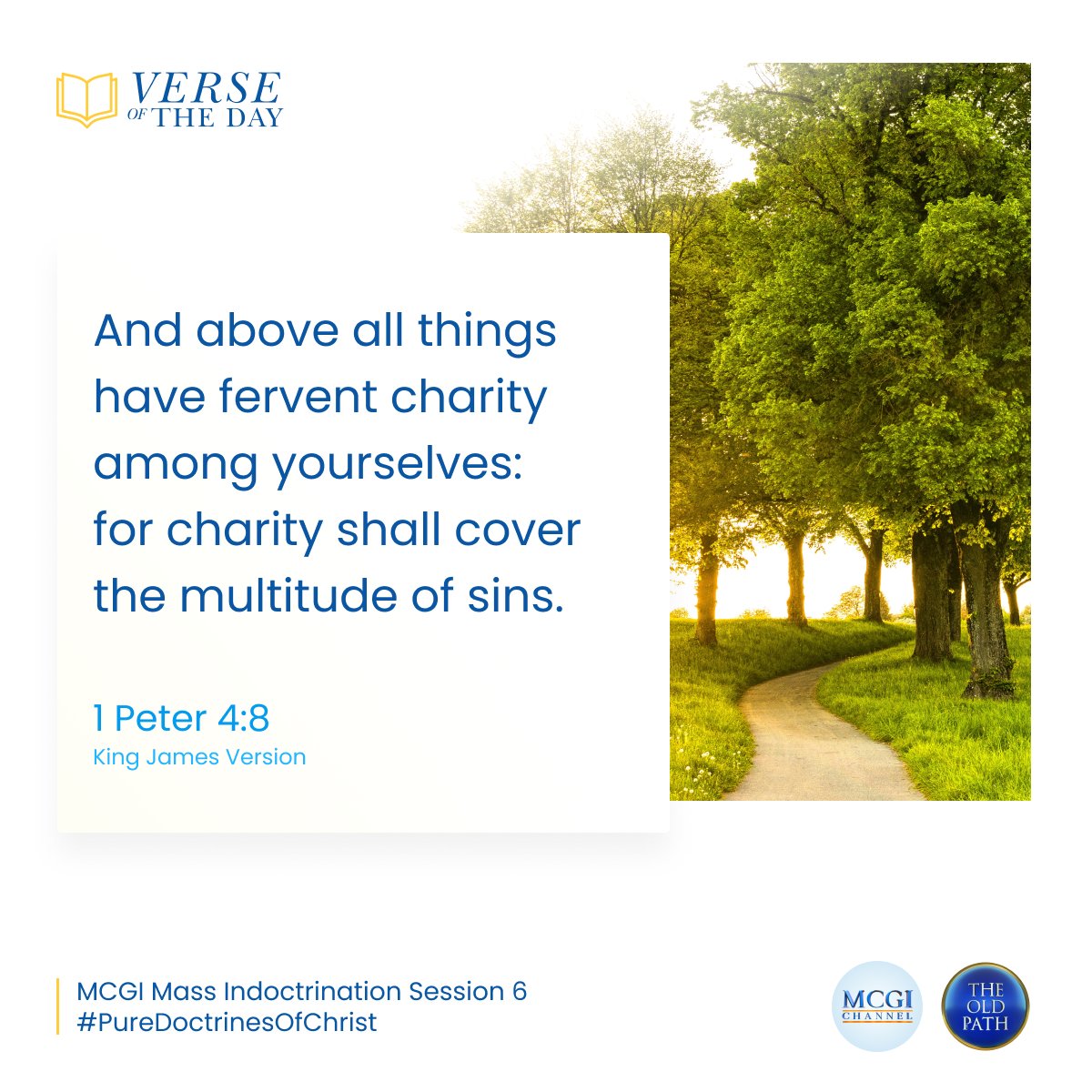 And above all things have fervent charity among yourselves: for charity shall cover the multitude of sins.

(1 Pet. 4:8, KJV)

How Should We Treat People
#PureDoctrinesOfChrist