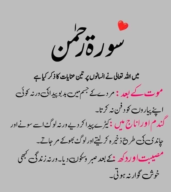 Just_Memeee 🌿💫 tweet media