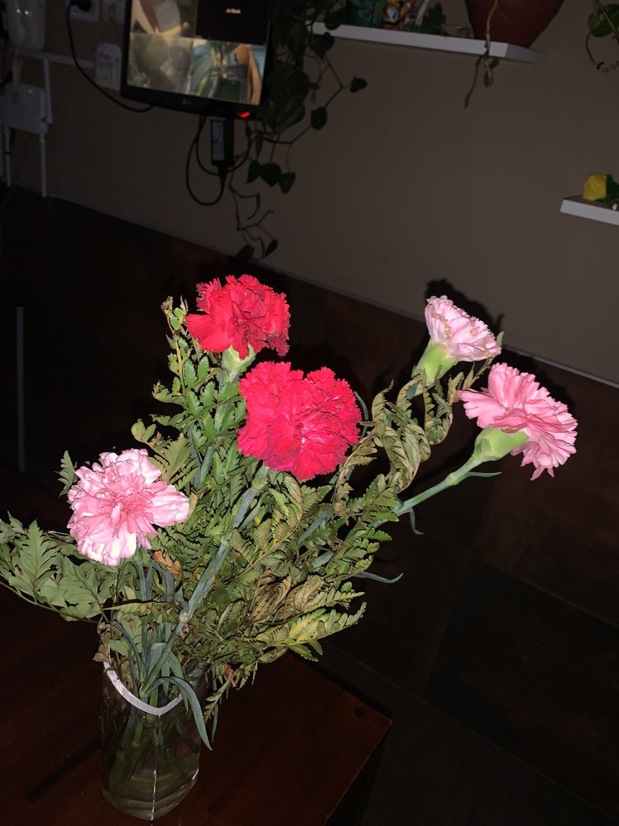 vino q casa y me trajo flores 😍