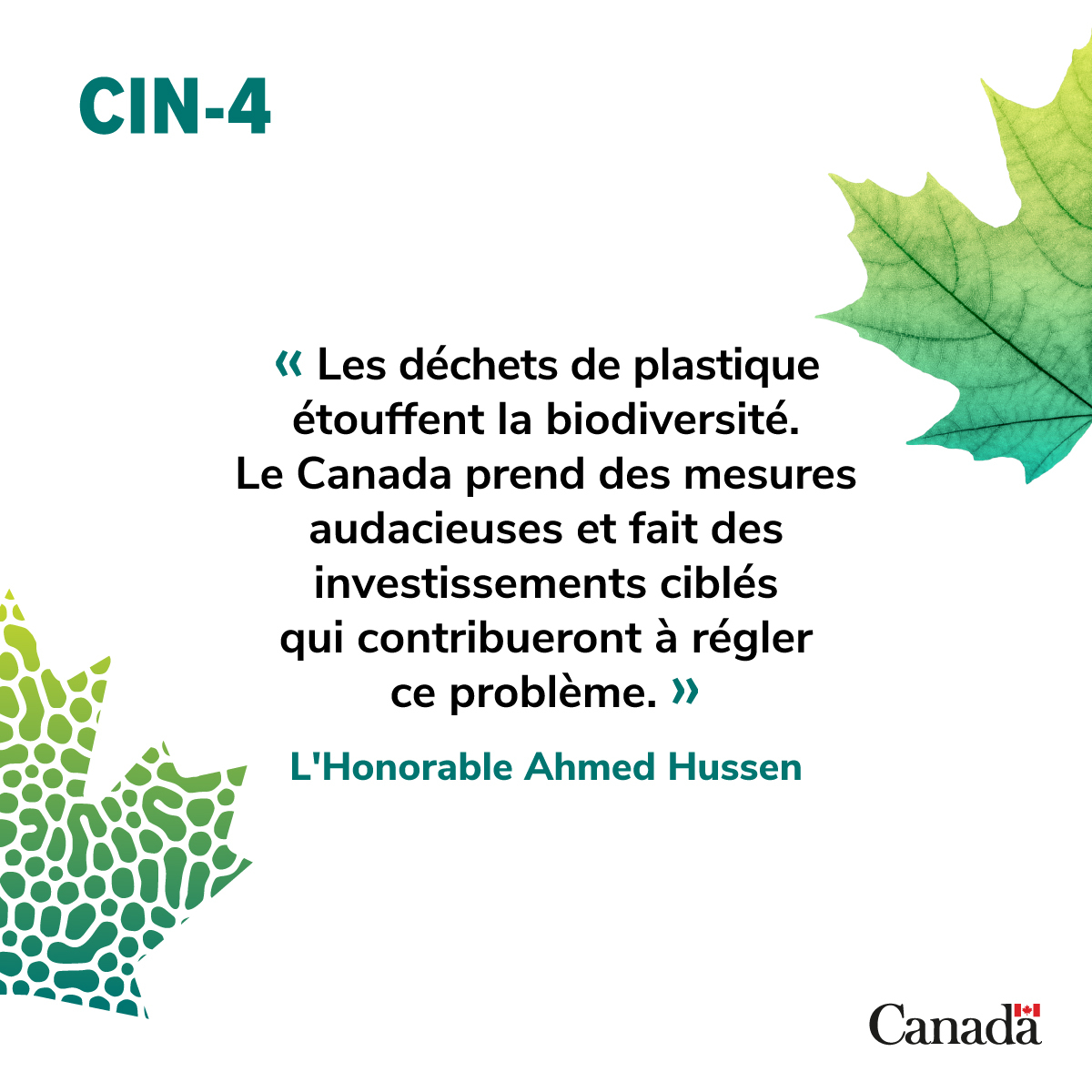 1/2 À la #CIN4 à Ottawa pour élaborer un accord mondial pour #CombattreLaPollutionPlastique, le Canada annonce des contributions pour faire progresser la lutte contre la pollution plastique, protéger la #biodiversité et soutenir les économies côtières des pays en développement.