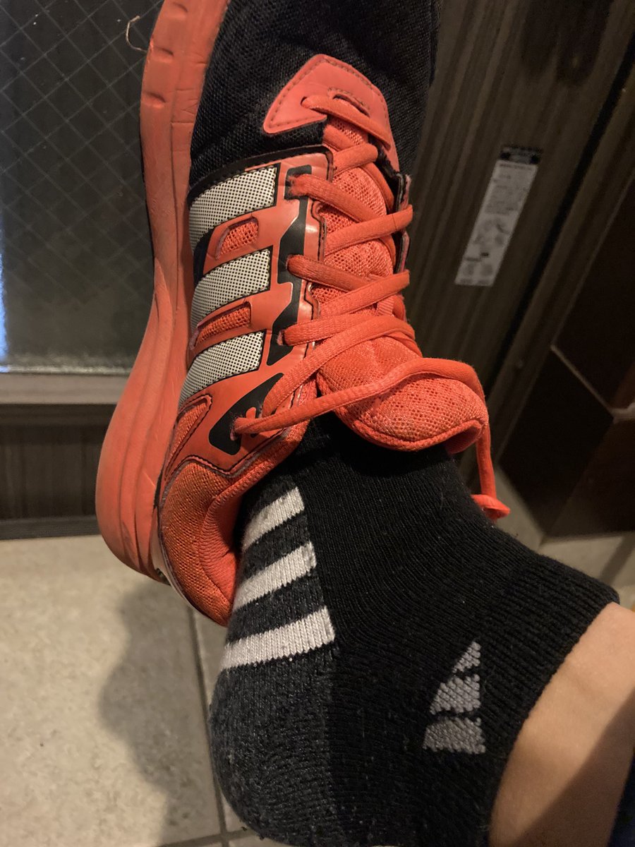 shion_f's tweet photo. よく見たら、adidasの靴と靴下を愛用してましたわ。こんなに推してるのに🤣
#STEPN  #adidas  #STEPNadidas https://t.co/8xasoB8PVh