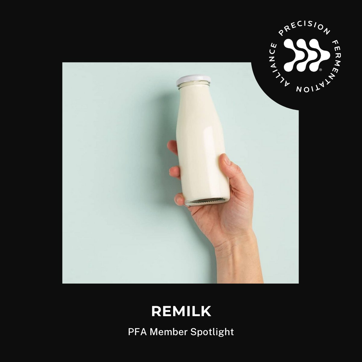 ✨Member Spotlight!✨

Remilk reimagines the future of food by crafting real dairy without a single cow, bringing a message of hope and joy to our planet, our body … and cows! #MemberSpotlight #PFA #FoodInnovation