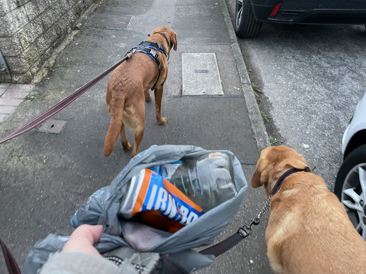 Every walk, every day, every little bit makes a difference. 26,000 dog owners removing 38 million pieces of #litter….a few pieces at a time. #dogsofx #lovedogs #environment #springcleanscotland