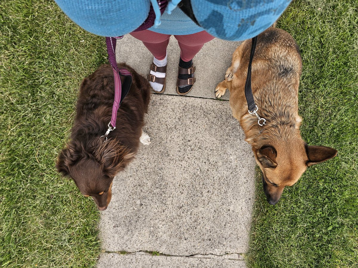 Streaming tonight? Be there or be 🟥 . Puppy picture for happiness! 🐕 Don't look at my socks. 🧦🙈