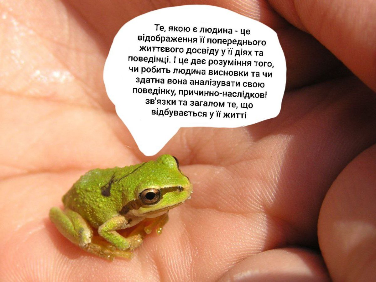 LizSmollder's tweet photo. Мені 21 і я пізнаю цю реальність та ділюся очевидними інсайтами, які я зрозуміла тільки зараз, за допомогою сміш��их картинок з жабками. https://t.co/cAD5BIoL7Q