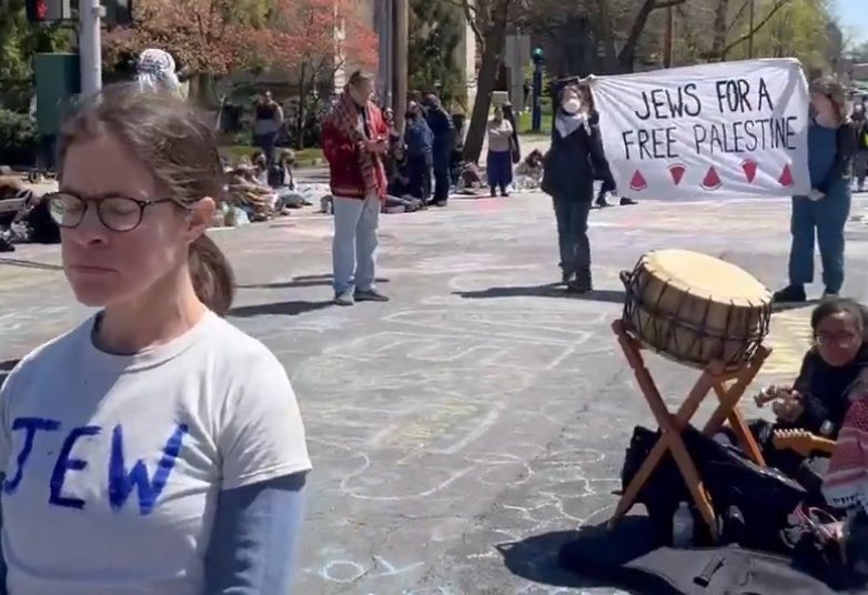 Yes, US zionists have big Karen energy. But they also perfectly channel shitty little brother energy.

A mixture of disconnected ignorance, a fake-ass victimization complex, and a total inability to imagine losing anything because they've grown so used to mom taking their side.