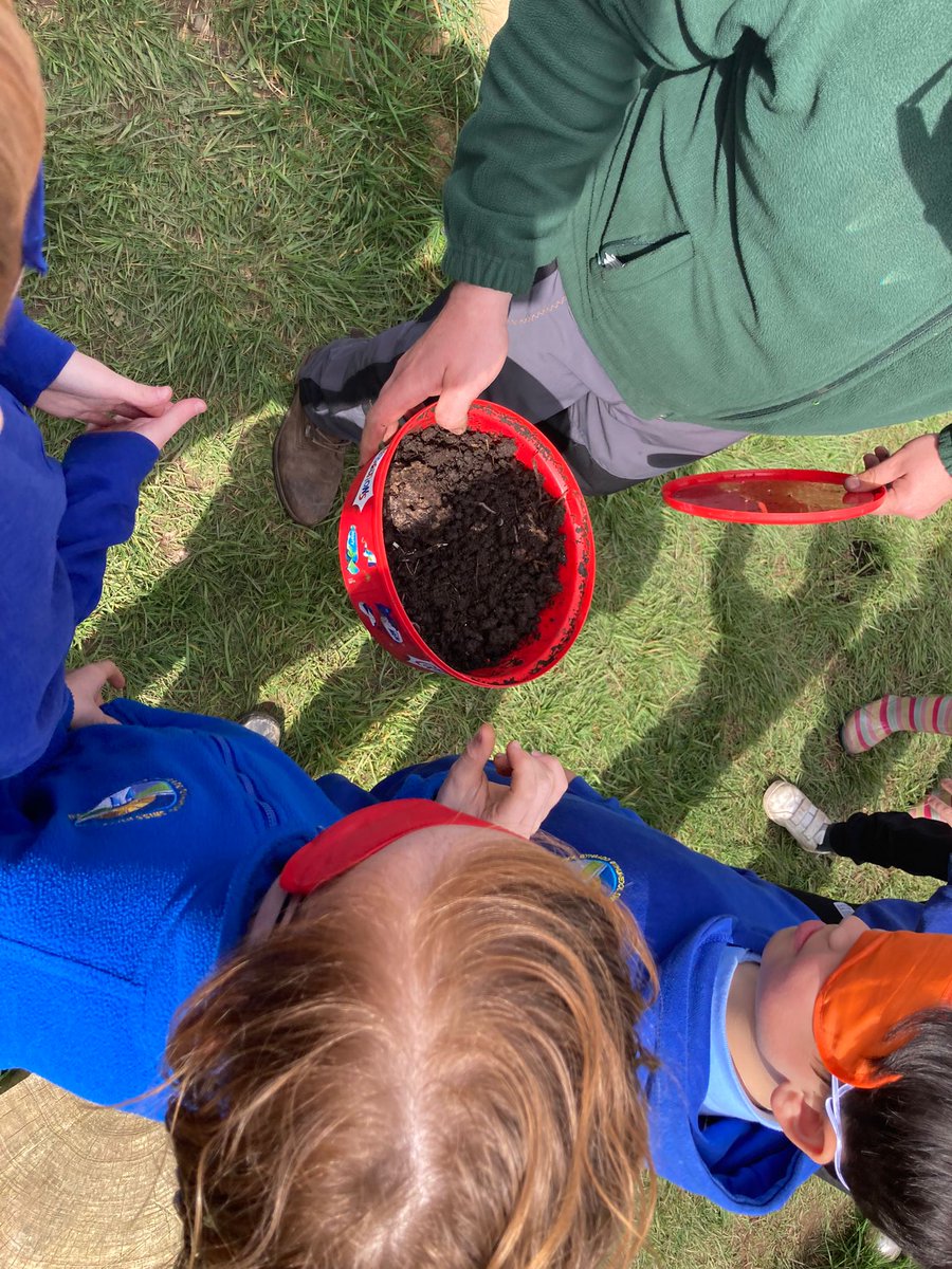 Bl4 pupils had a lot of fun yesterday trying to guess what natural materials or objects were in the various boxes #blindfoldtest #WalesOutdoorLearningWeek #SVCPOutdoors