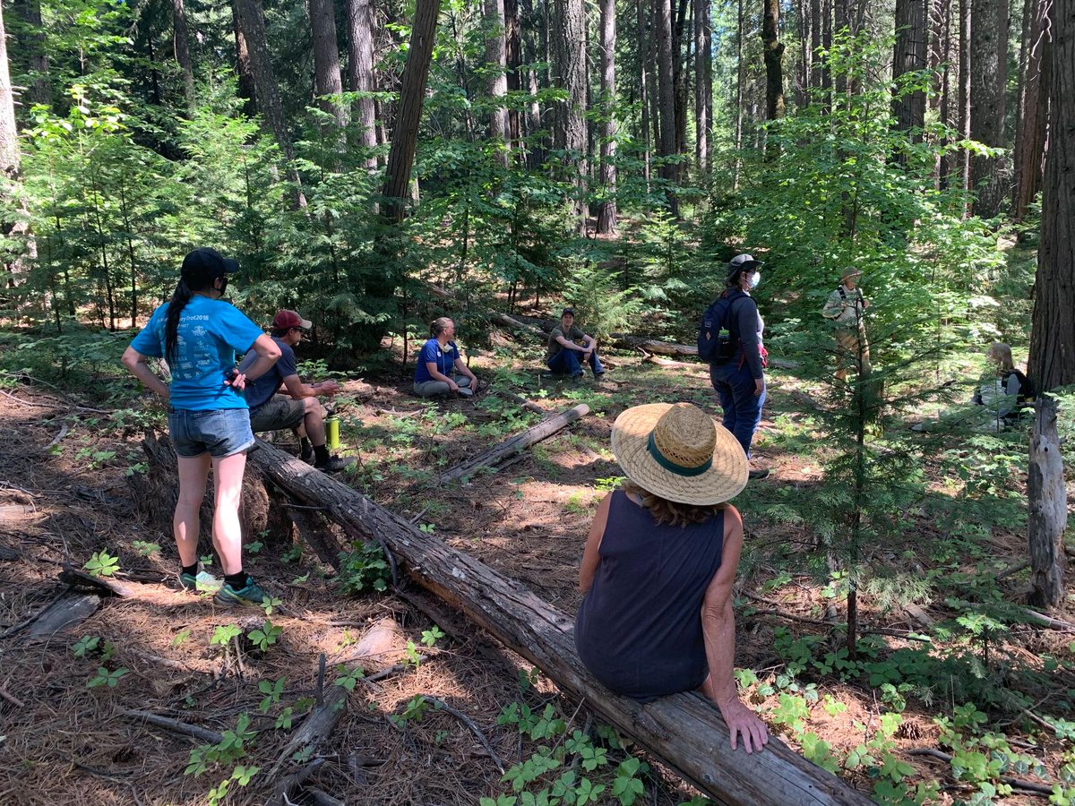 This #EarthWeek, celebrate all things forests by registering for #California Tree School, hosted by the UC ANR Forest Stewardship & Fire Network teams! This is an opportunity to explore forestry's different facets through hands-on classes. ucanr.edu/CATreeSchool