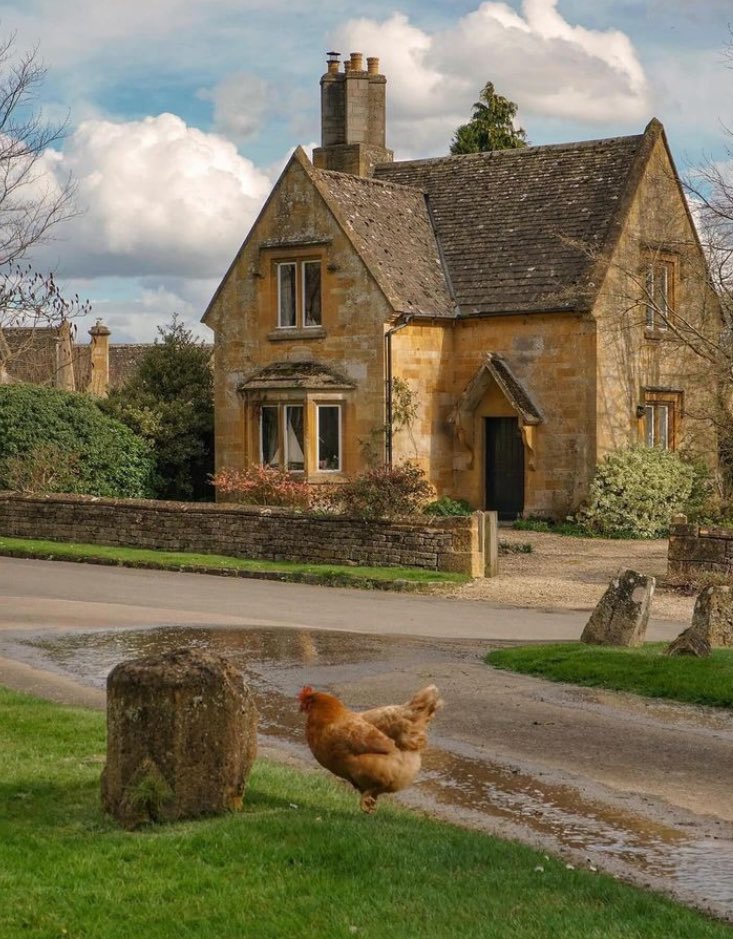 England really perfected the medium-sized family home and then made building it illegal