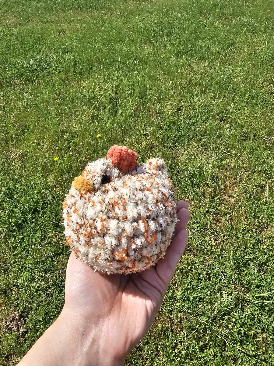 Spooky_Lys's tweet photo. Okay I really love this one 

https://t.co/90B5TWCUrB

#crochet #art #EtsySeller #cute #chicken #farmlife https://t.co/791J62dZVh