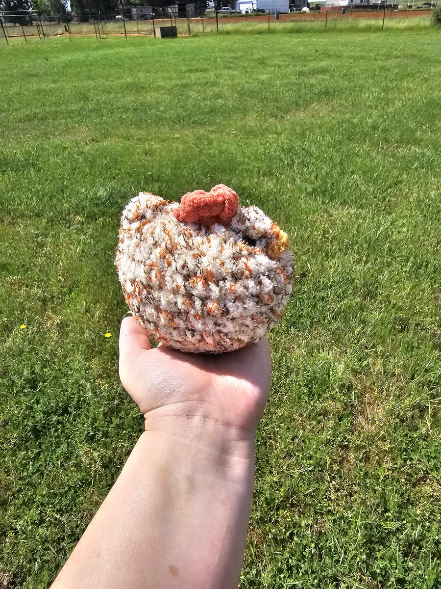 Spooky_Lys's tweet photo. Okay I really love this one 

https://t.co/90B5TWCUrB

#crochet #art #EtsySeller #cute #chicken #farmlife https://t.co/791J62dZVh