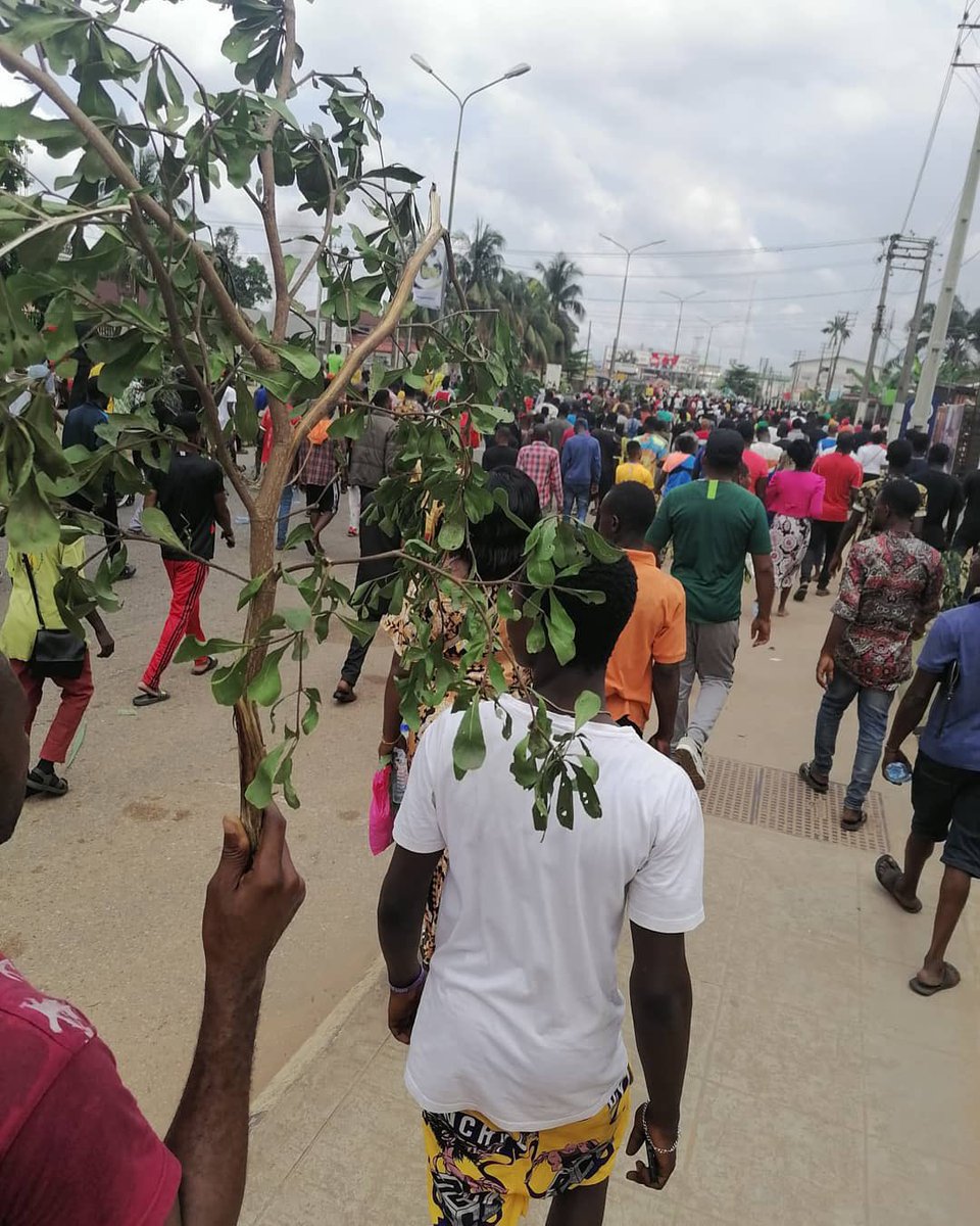 Took these photos during the #EndSARS protest. Look at those prizes 💔