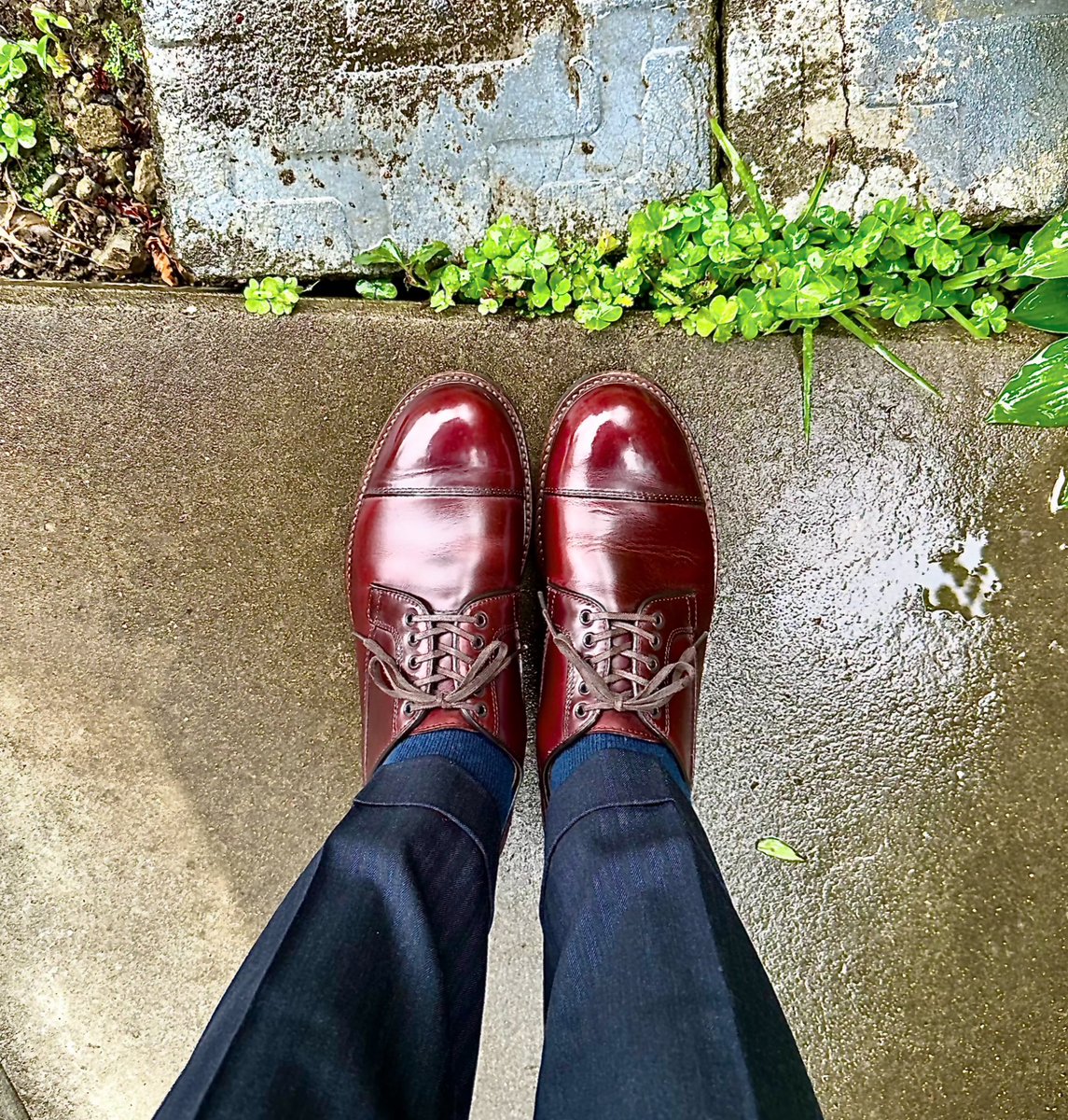 sthkzn's tweet photo. WHEEL ROBE
今日は降ったり止んだりだそうで、帰りの時間には雨足が強くなるそうです。
#wheelrobe #chromexcel #shoes #mensshoes #sptd #shoesoftheday #ウィールローブ #クロムエクセル #紳士靴 #革靴 #今日の足元 https://t.co/rTFfG3Qw2g