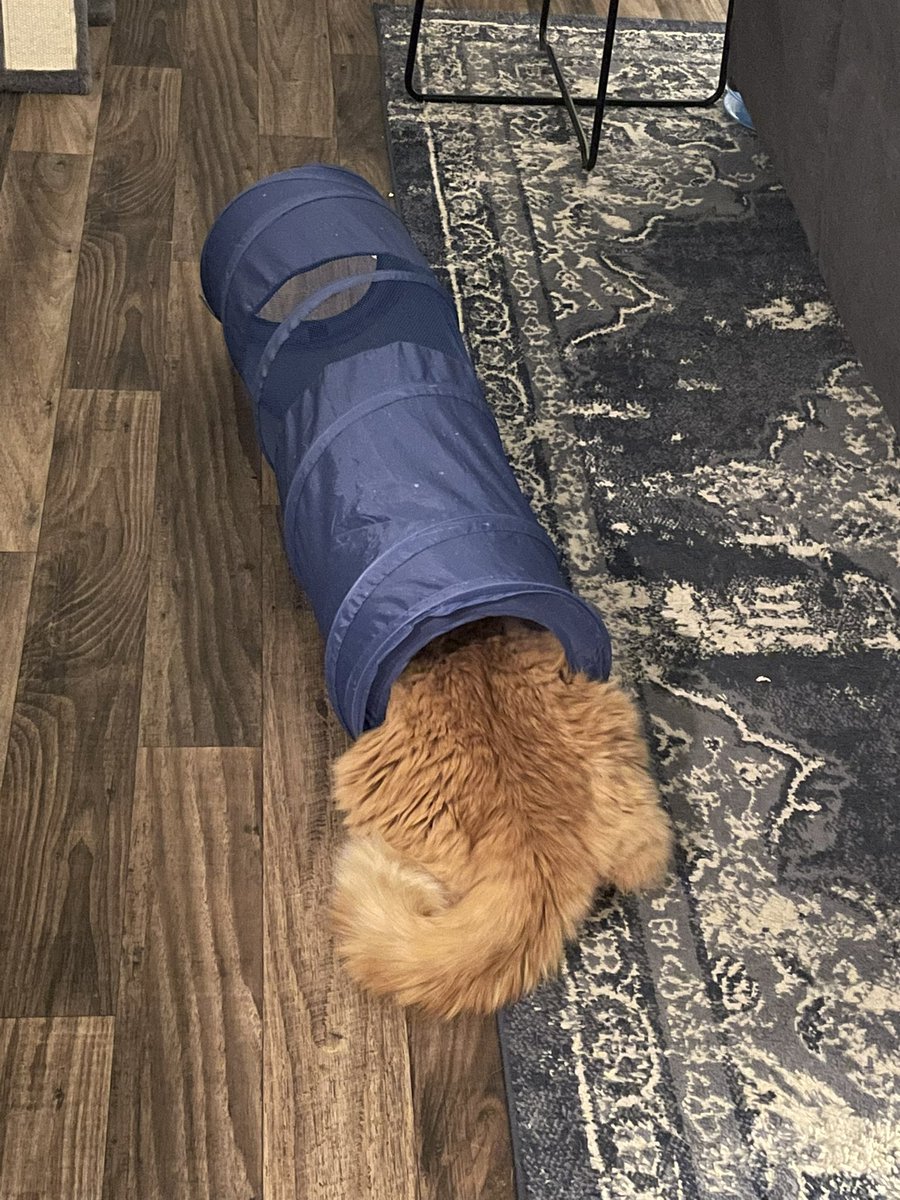IAmSpugEddy's tweet photo. He body too big for he got dang tube https://t.co/UqaKucnjpH