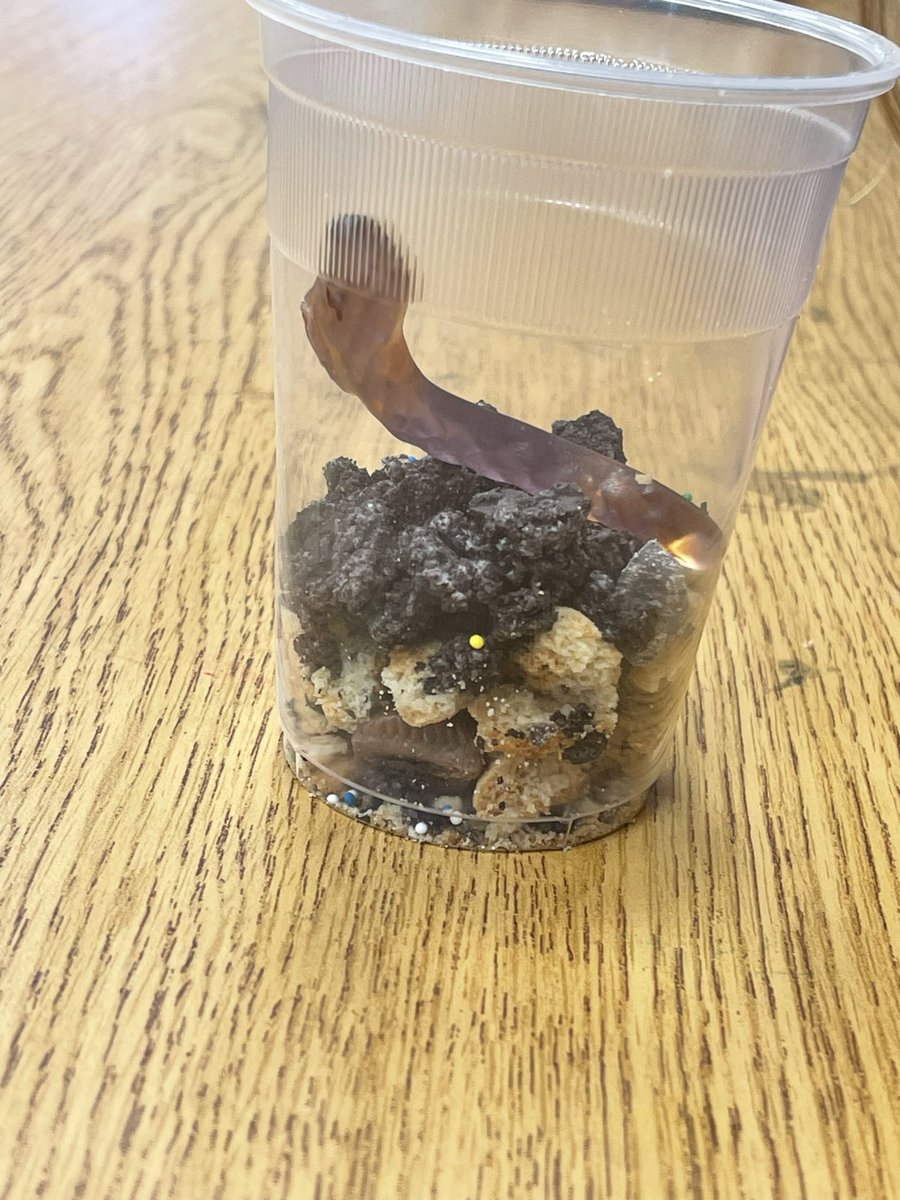 MrsMcIntyre_'s tweet photo. First grade got to eat โdirtโ today. Weโve been learning about soil so they made a layers of soil snack out of cookies. #WingateAgTech @WingateESNC @Renee_McKinnon1 @AGHoulihan @UCPSNC https://t.co/bCGrI8tGht
