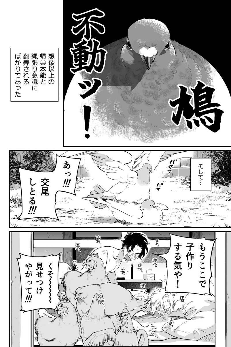 #ハピクソ　３3話