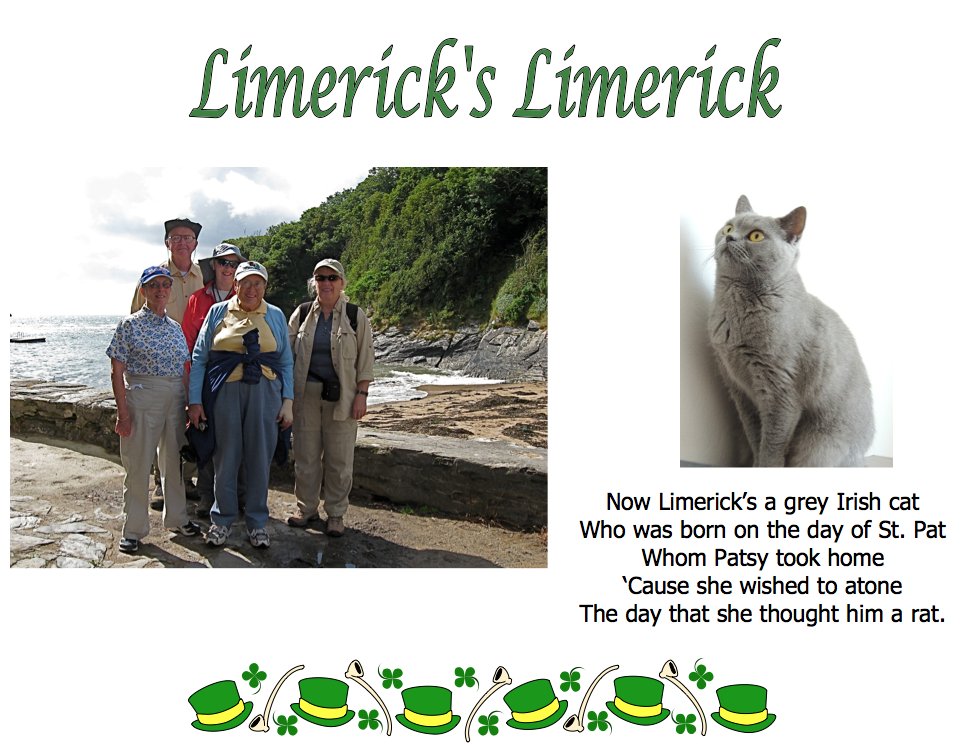#Limerick #entertainment #humor #store #Patsey #cat #Irish #rat #laughs #giftideas #gifts #giftideas #StPatricksDay #fun zazzle.com/store/mindseye…
