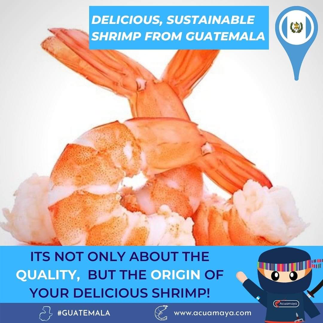 Guatemala y Acuamaya presentes en #SEG24 Seafood Expo Global Barcelona, compartiendo con buenos amigos de todo el mundo y promoviendo lo mejor de nuestra bella #Guatemala, ánimo 🦐🦀🐟👍
#GuatemalaBeyondExpectations #BeyondExpectationsGT