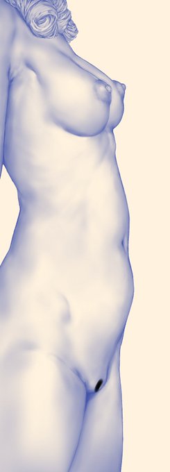 成人女性の側胴ってよくないですか? 