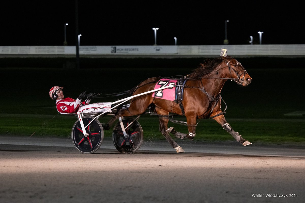 Venturesome Arden N and Jason Bartlett take the Borgata consolation for trainer Ricky Bucci at @YonkersRaceway