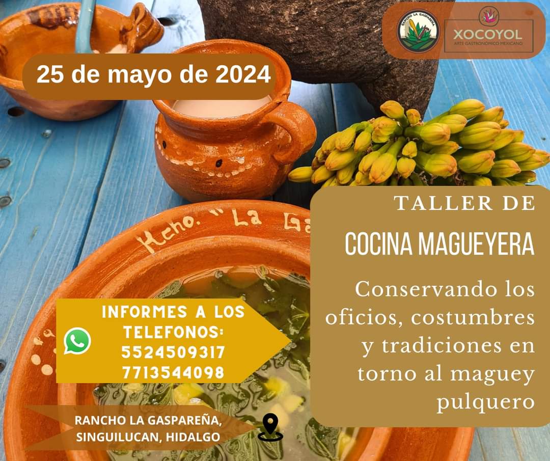 buccio_chef's tweet photo. Xocoyol Arte Gastronómico Mexicano y Rancho La Gaspareña
Tallerpráctico-demostrativo de cocina magueyera
El taller está dirigido al público en general, en el aprenderás sobre la cultura del maguey y el pulque en Singuilucan, Hidalgo. https://t.co/jeKs2xAUwH