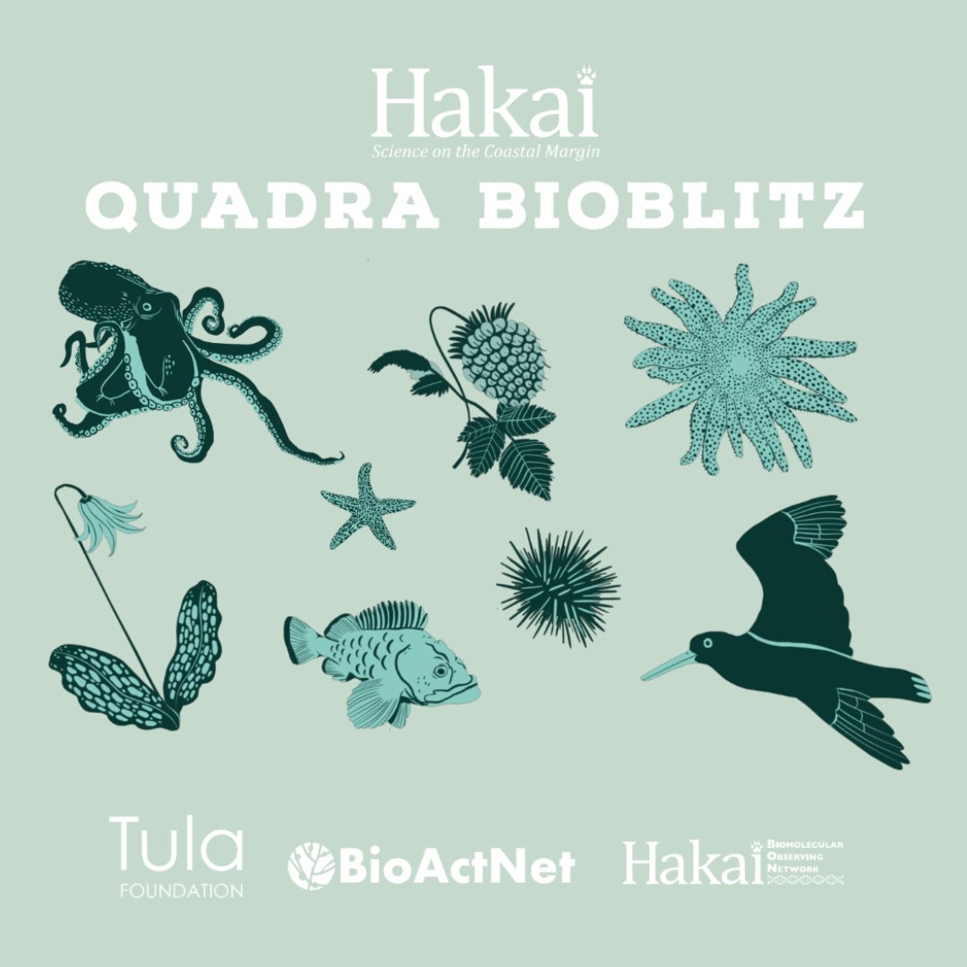 OceanDecadeNEP tweet media