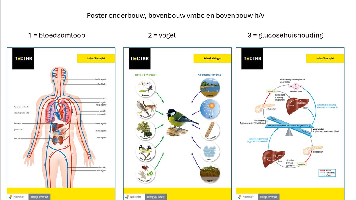 #biologie #vo
Kan jouw biologielokaal wel wat opfleuring gebruiken? Goed nieuws! We hebben drie prachtige posters gemaakt die je gratis kan bestellen. 

Bestel jouw exempla(a)r(en) via 👉 tinyurl.com/4bssw9an