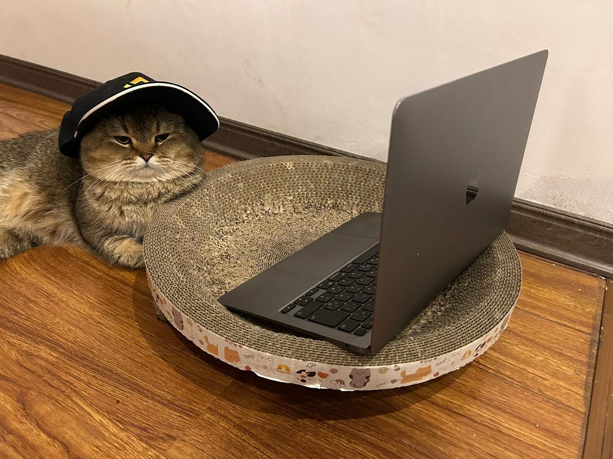 binance's tweet image. Pictured: me rn