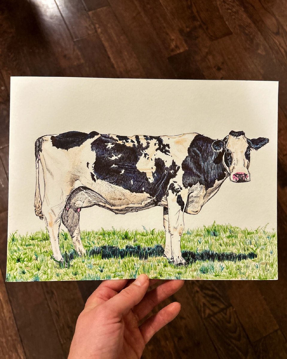 devverbud's tweet photo. I wanted to draw a dairy cow because I grew up down the road from my grandpas dairy farm.

I remember watching the cows walk around and eat grass with my brothers. We'd have an absolute riot because we thought cows were hilarious. https://t.co/fpJOrsQber