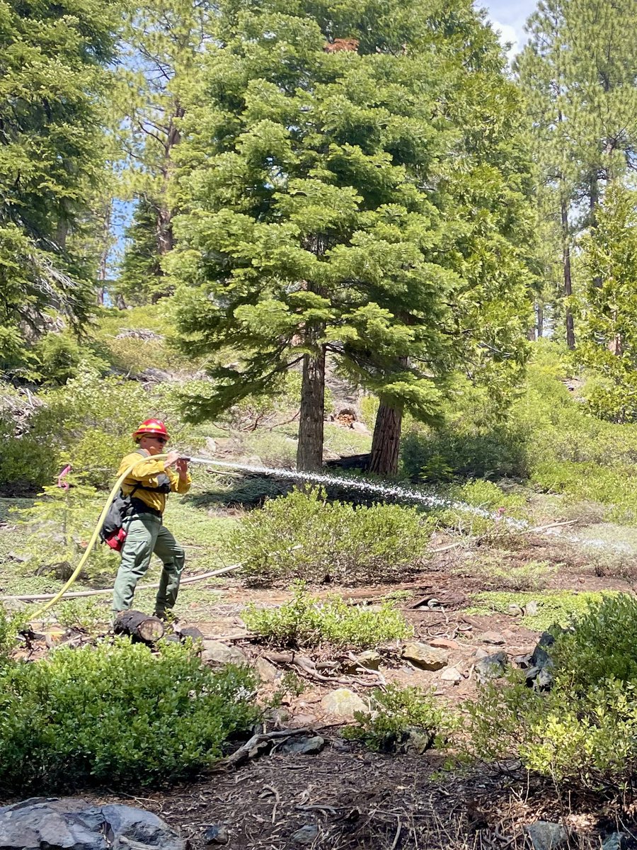 NLTahoeFire's tweet photo. Annual Wildland Refresher for B Shift today!
#WildlandSeason
#training
#EngineCompany
#WildlandRodeo
#nltfpd https://t.co/qAKWIVgmui