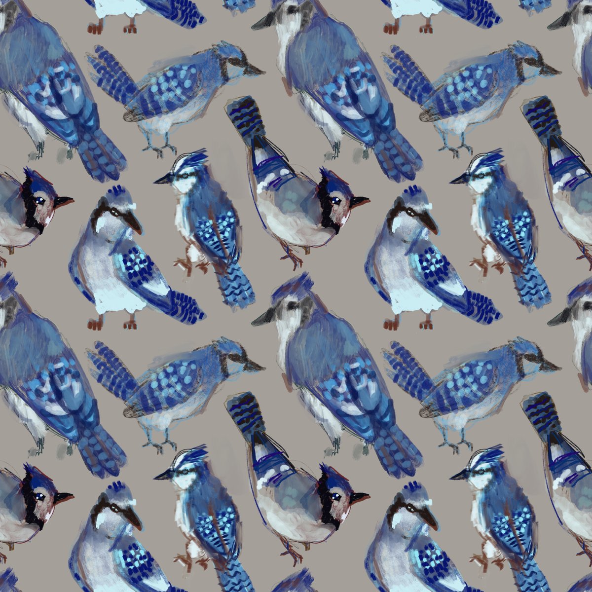 blue jay pattern