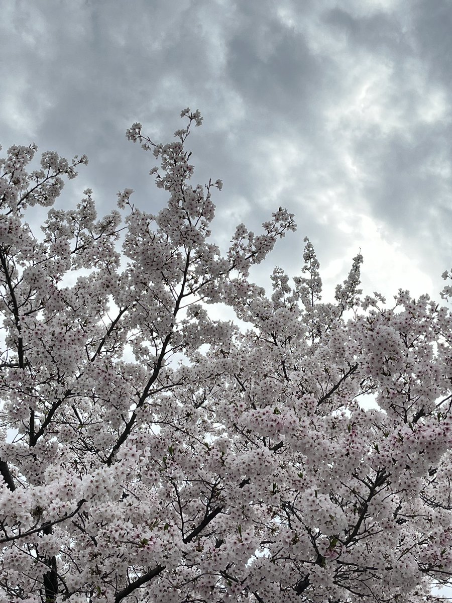 ฝุ่น (@tyfhoon91s) on Twitter photo 