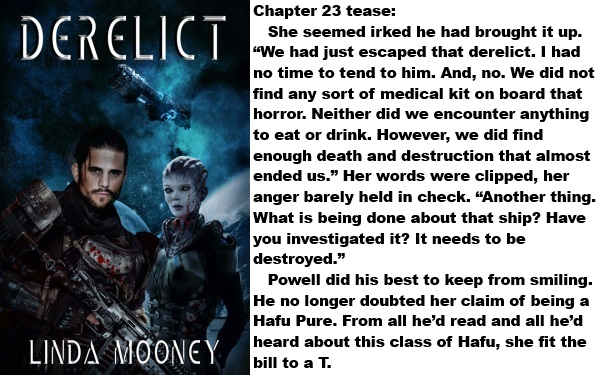 #Derelict #newrelease #scifi #sciencefiction #romance #enemiestolovers #slowburn #aliens #spacewar #entrapment #spaceships #outerspace #spacemilitary

lindamooney.com/Derelict.htm