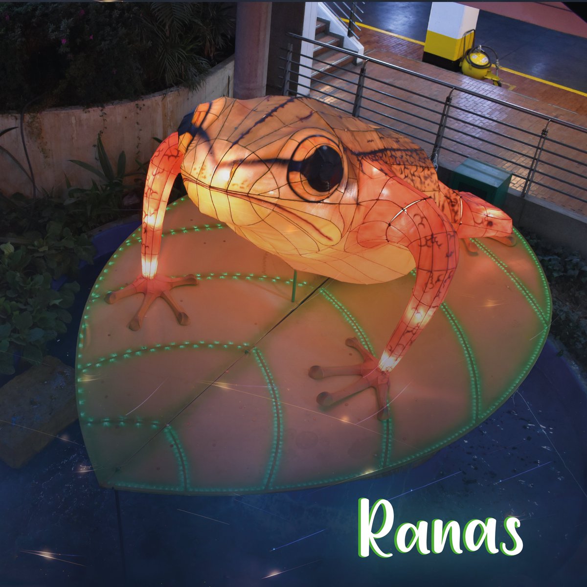 PlazaImperial's tweet photo. 💡✨ Cuéntanos, ¿cuál de nuestras escenografías de la campaña #Luminosos te ha gustado más?
✨❤️ Queremos saber cuál ha sido la escenografía que te ha conquistado. ¡Comparte tu elección!
Etiqueta a tus amigos para que también nos cuenten su favorito

#Luminosos #PlazaImperial https://t.co/VqbVixEsL0