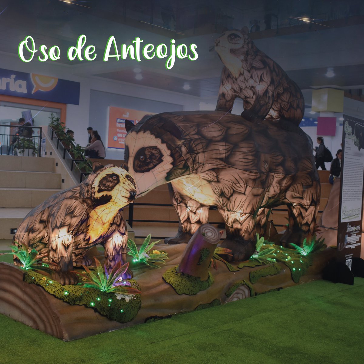 PlazaImperial's tweet photo. 💡✨ Cuéntanos, ¿cuál de nuestras escenografías de la campaña #Luminosos te ha gustado más?
✨❤️ Queremos saber cuál ha sido la escenografía que te ha conquistado. ¡Comparte tu elección!
Etiqueta a tus amigos para que también nos cuenten su favorito

#Luminosos #PlazaImperial https://t.co/VqbVixEsL0