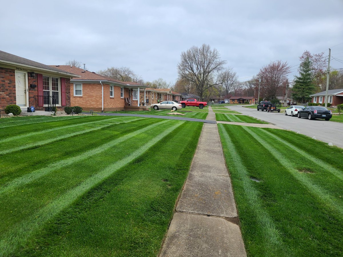Cloudy Day, sunny day. Don't matter, we're still laying sick stripes.

#polofieldslawnservice #lawncare #lawnstripes #grass #tallfescue