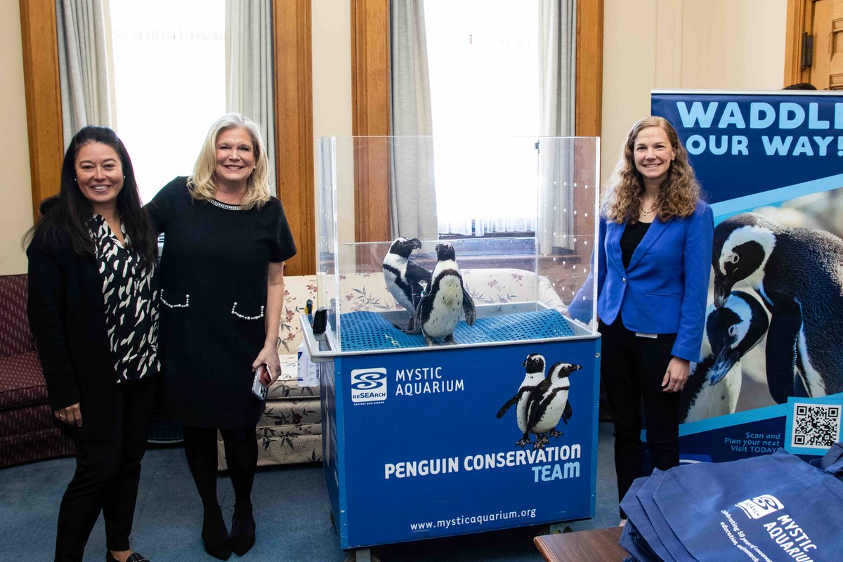 Heather Somers tweet media