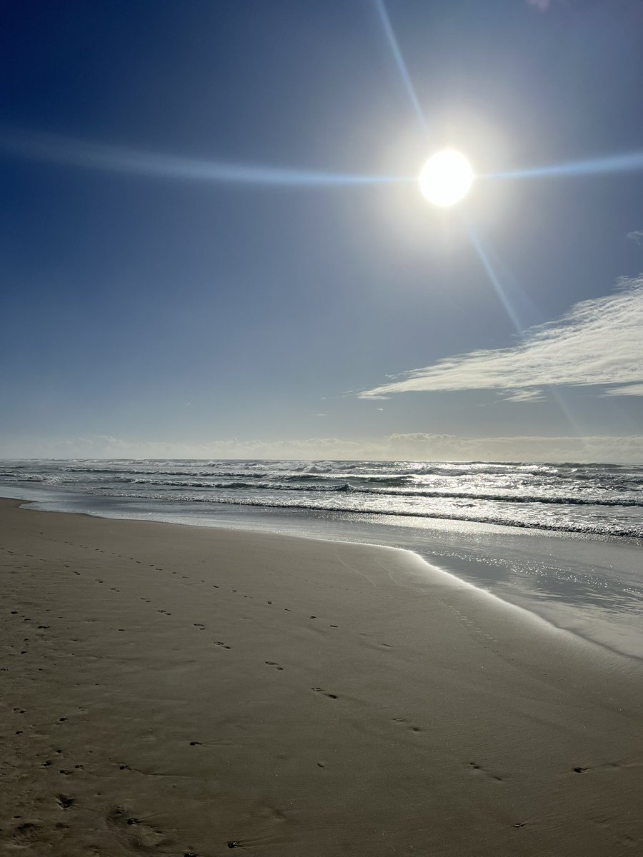 School holiday beach walk, with a side of TWR.